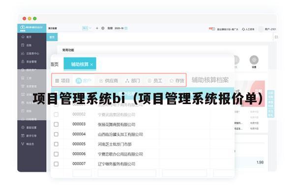 项目管理系统bi（项目管理系统报价单）