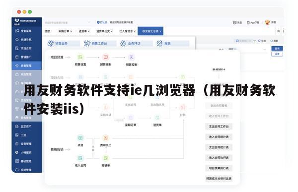 用友财务软件支持ie几浏览器（用友财务软件安装iis）