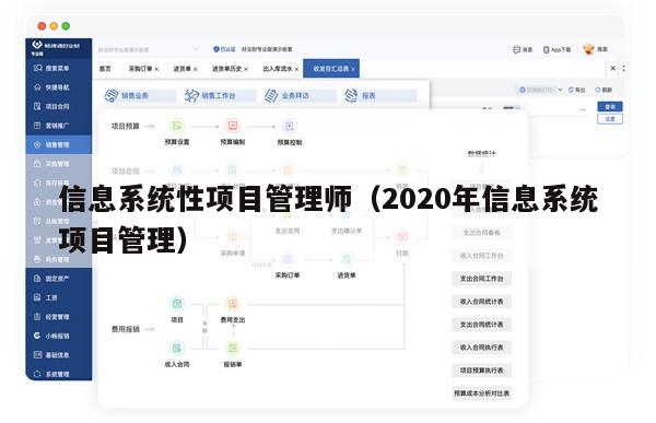 信息系统性项目管理师（2020年信息系统项目管理）