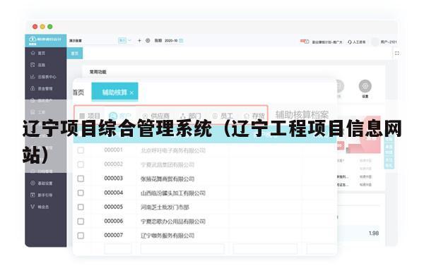 辽宁项目综合管理系统（辽宁工程项目信息网站）
