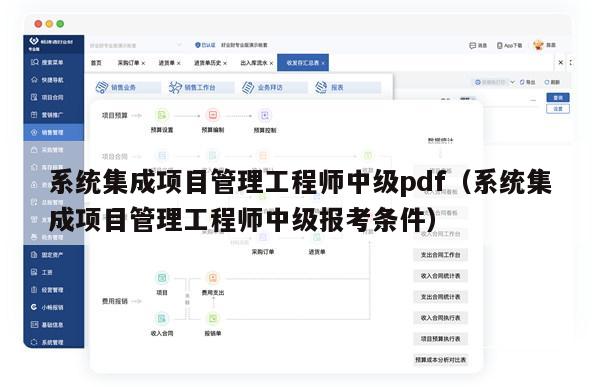 系统集成项目管理工程师中级pdf（系统集成项目管理工程师中级报考条件）