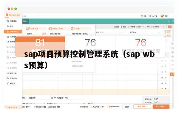 sap项目预算控制管理系统（sap wbs预算）