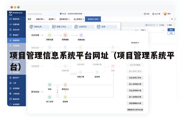 项目管理信息系统平台网址（项目管理系统平台）