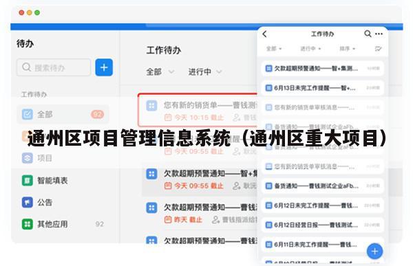 通州区项目管理信息系统（通州区重大项目）