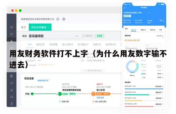 用友财务软件打不上字（为什么用友数字输不进去）