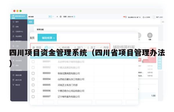 四川项目资金管理系统（四川省项目管理办法）