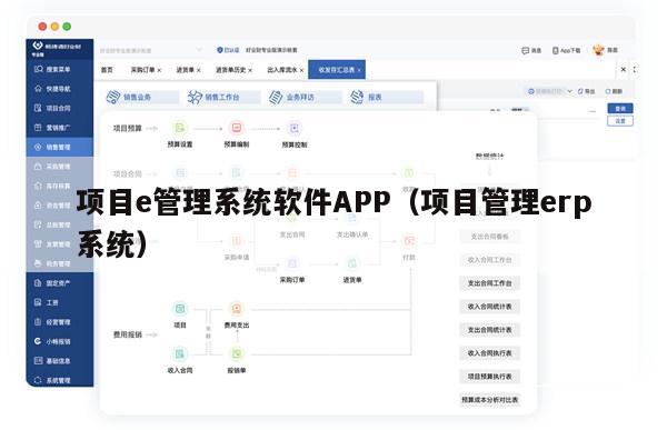 项目e管理系统软件APP（项目管理erp系统）