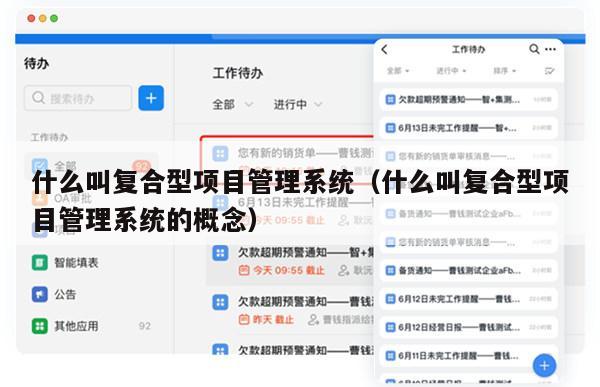 什么叫复合型项目管理系统（什么叫复合型项目管理系统的概念）