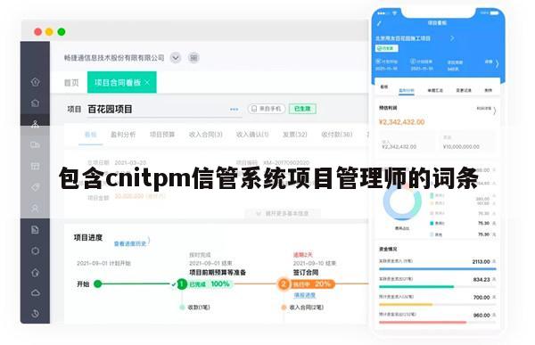 包含cnitpm信管系统项目管理师的词条