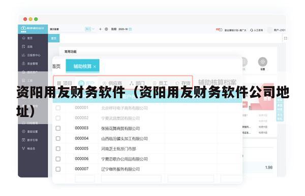 资阳用友财务软件（资阳用友财务软件公司地址）