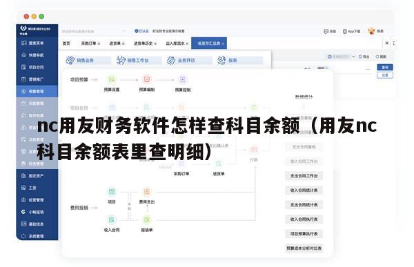 nc用友财务软件怎样查科目余额（用友nc科目余额表里查明细）