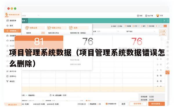 项目管理系统数据（项目管理系统数据错误怎么删除）