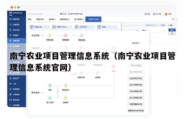 南宁农业项目管理信息系统（南宁农业项目管理信息系统官网）