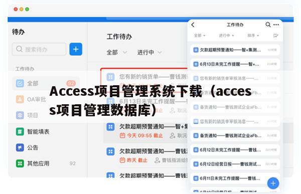 Access项目管理系统下载（access项目管理数据库）