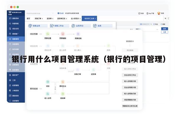 银行用什么项目管理系统（银行的项目管理）