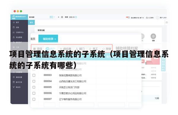 项目管理信息系统的子系统（项目管理信息系统的子系统有哪些）