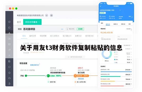 关于用友t3财务软件复制粘贴的信息