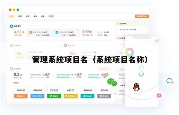 管理系统项目名（系统项目名称）