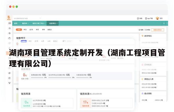 湖南项目管理系统定制开发（湖南工程项目管理有限公司）