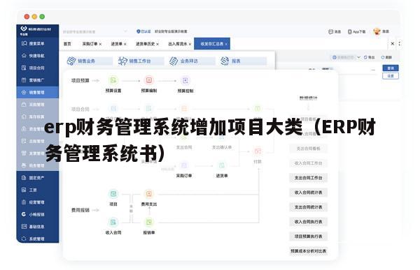 erp财务管理系统增加项目大类（ERP财务管理系统书）