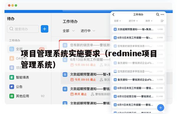 项目管理系统实施要求（redmine项目管理系统）