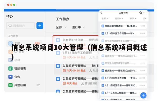 信息系统项目10大管理（信息系统项目概述）