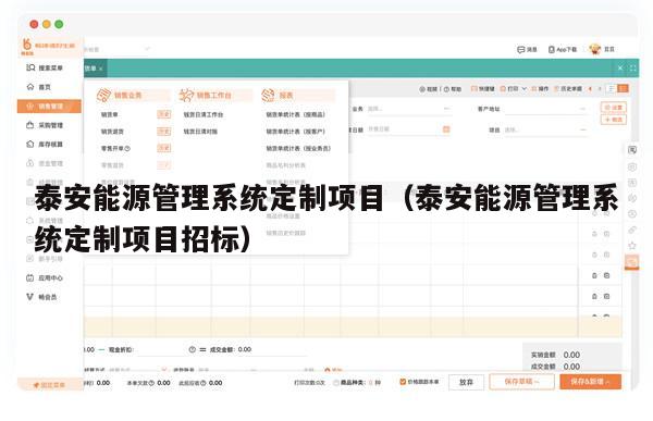 泰安能源管理系统定制项目（泰安能源管理系统定制项目招标）