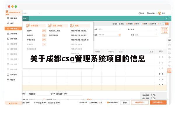 关于成都cso管理系统项目的信息