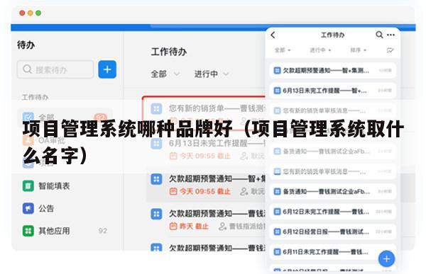 项目管理系统哪种品牌好（项目管理系统取什么名字）