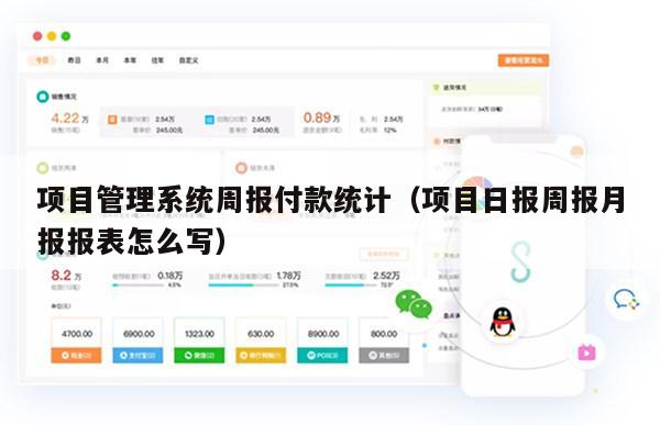 项目管理系统周报付款统计（项目日报周报月报报表怎么写）
