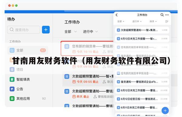 甘南用友财务软件（用友财务软件有限公司）