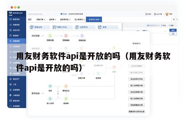 用友财务软件api是开放的吗（用友财务软件api是开放的吗）