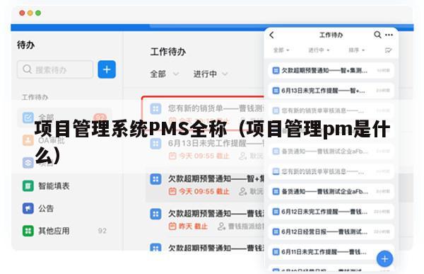 项目管理系统PMS全称（项目管理pm是什么）