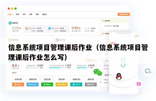信息系统项目管理课后作业（信息系统项目管理课后作业怎么写）