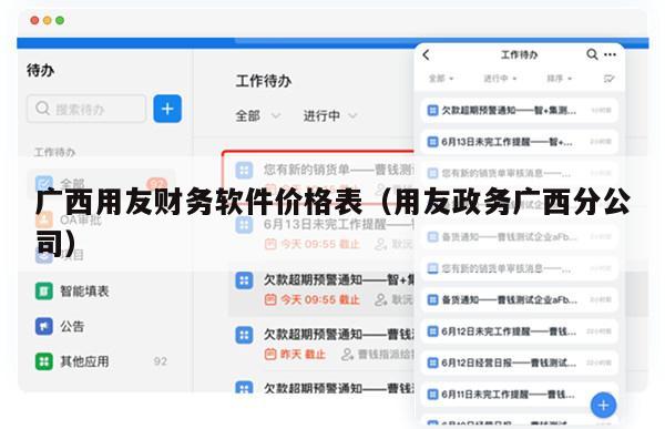 广西用友财务软件价格表（用友政务广西分公司）