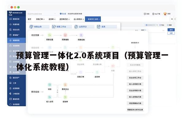 预算管理一体化2.0系统项目（预算管理一体化系统教程）