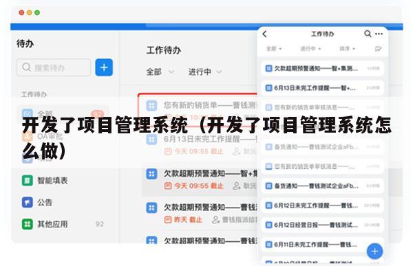 开发了项目管理系统（开发了项目管理系统怎么做）