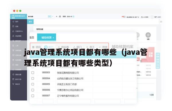 java管理系统项目都有哪些（java管理系统项目都有哪些类型）