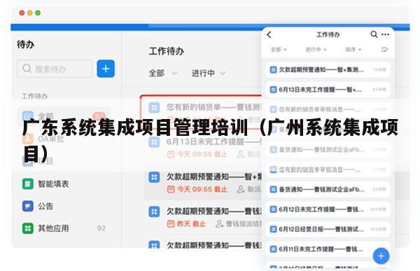 广东系统集成项目管理培训（广州系统集成项目）
