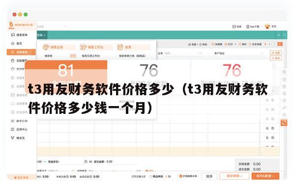 t3用友财务软件价格多少（t3用友财务软件价格多少钱一个月）