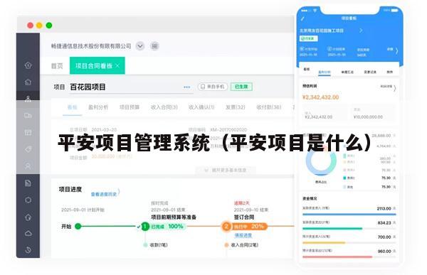 平安项目管理系统（平安项目是什么）
