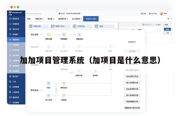 加加项目管理系统（加项目是什么意思）