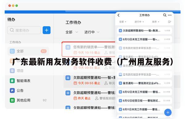 广东最新用友财务软件收费（广州用友服务）
