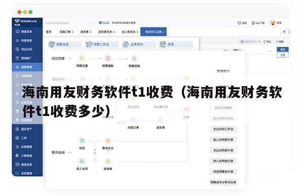 海南用友财务软件t1收费（海南用友财务软件t1收费多少）