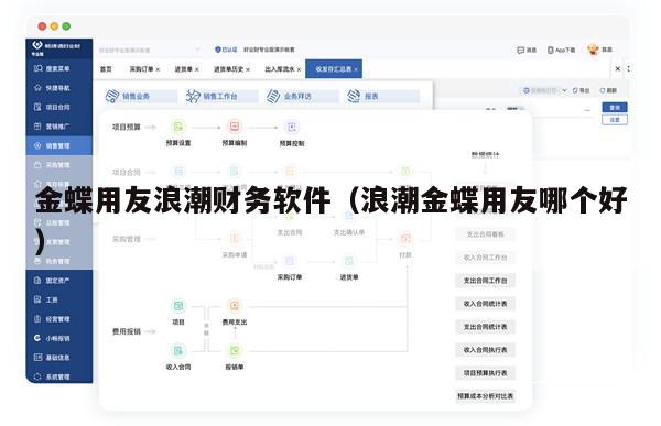 金蝶用友浪潮财务软件（浪潮金蝶用友哪个好）