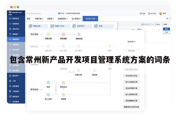 包含常州新产品开发项目管理系统方案的词条