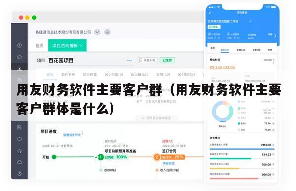 用友财务软件主要客户群（用友财务软件主要客户群体是什么）