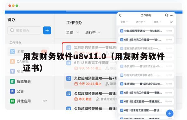 用友财务软件u8v11.0（用友财务软件证书）