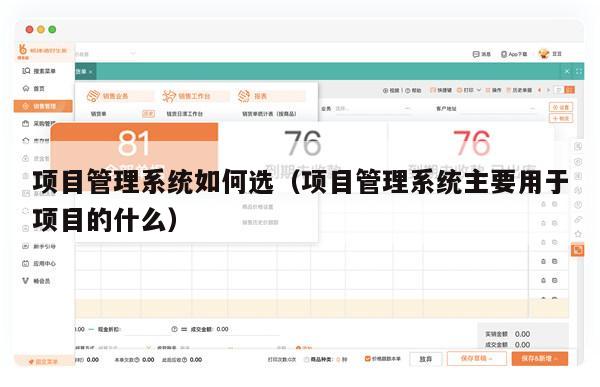 项目管理系统如何选（项目管理系统主要用于项目的什么）