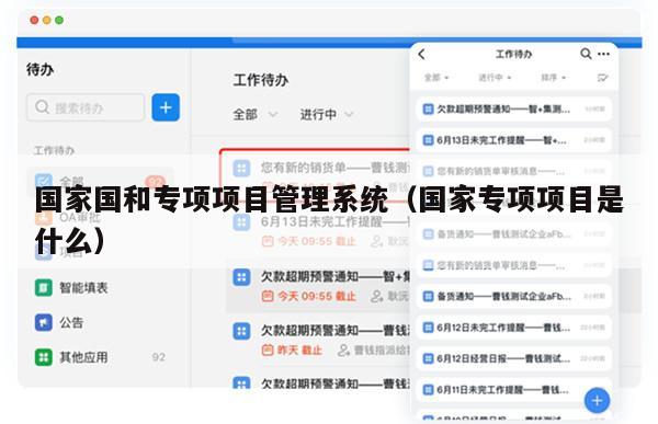 国家国和专项项目管理系统（国家专项项目是什么）